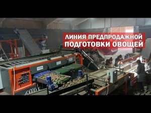 Линия предпродажной подготовки корнеплодов (видео)