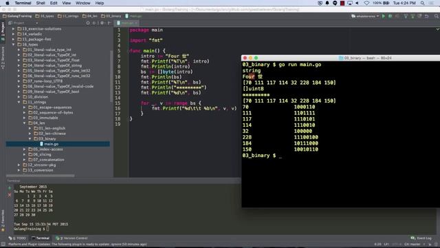 golang printing hexadecimal & binary смотреть онлайн