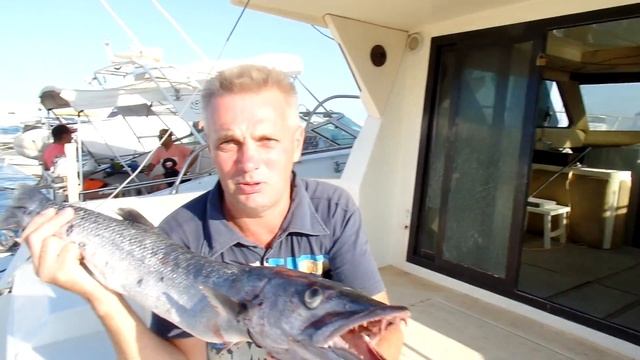 Баракуда и СМ прямо с глубин Красного Моря. смотреть онлайн