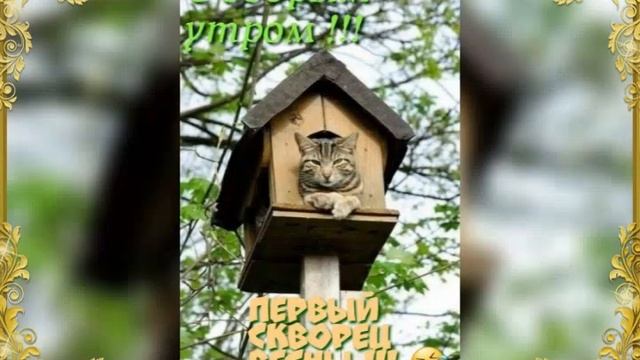 3 августа 2023 г. смотреть онлайн