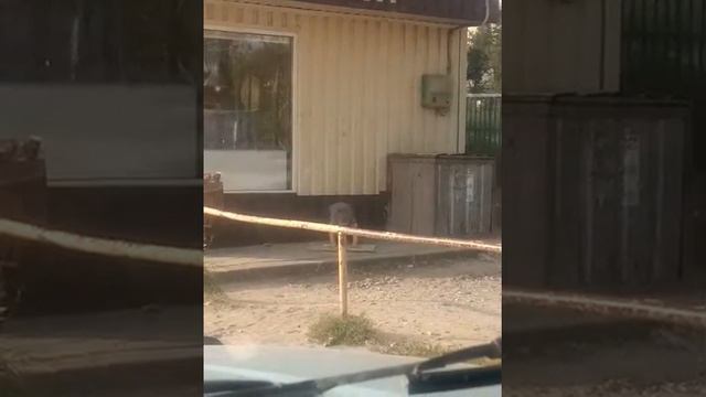 Пусть мама услышит, пусть мама придет... смотреть онлайн