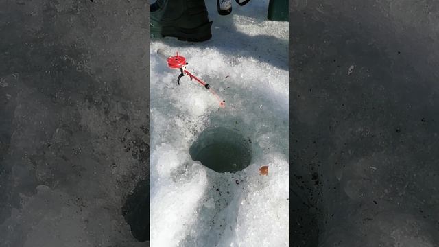 Отправить(2) смотреть онлайн