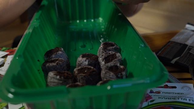 КУДА ПОСАДИТЬ ПЕТУНИЮ В ГРУНТ ИЛИ ТАБЛЕТКИ. УРОК №2. ЧАСТЬ 1 смотреть онлайн