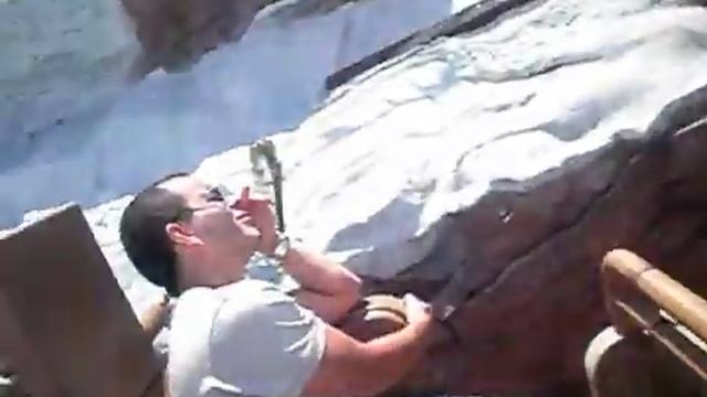 my experience @ expedition everest - animal kingdom смотреть онлайн