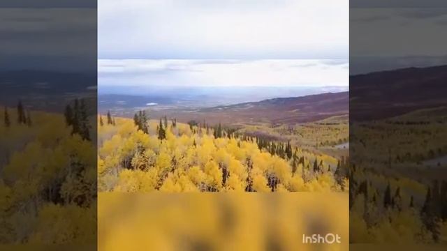 Стихотворение Татьяны Тепляковой "Осень" читает Любовь Соленкова смотреть онлайн