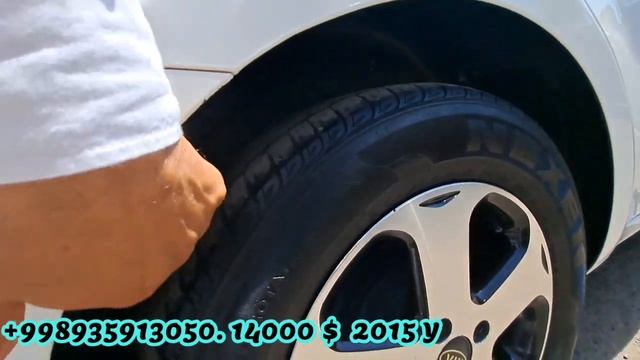SERGELIDAN MOSHINANI XUROZLARI 14.08.2022 смотреть онлайн