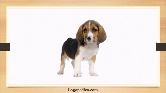 Звуков и буквен анализ на думите (Урок, 1 част) – Логопедико смотреть онлайн