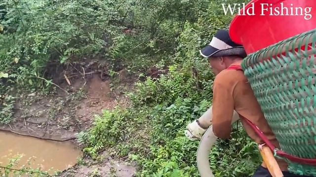 Skills Catch Giant Anaconda / Loggest Python Found In The World, Catch Fish And Meet Big Python смотреть онлайн