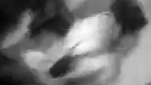 Щербактинский район!с.Кургамыс!mp4 смотреть онлайн