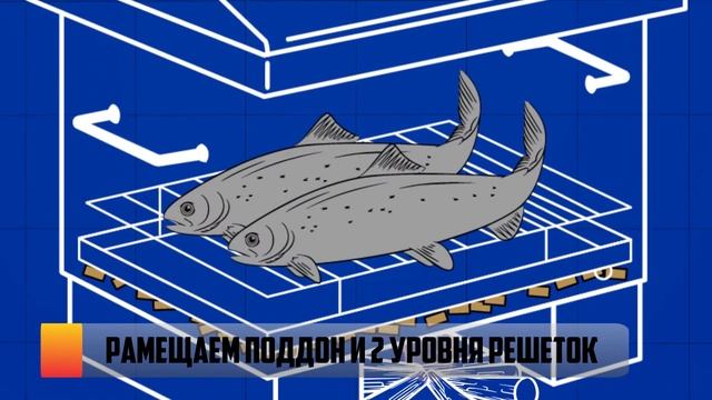 Обзор средней коптильни с нержавеющей стали для горячего копчения от тм Дид Коптенко