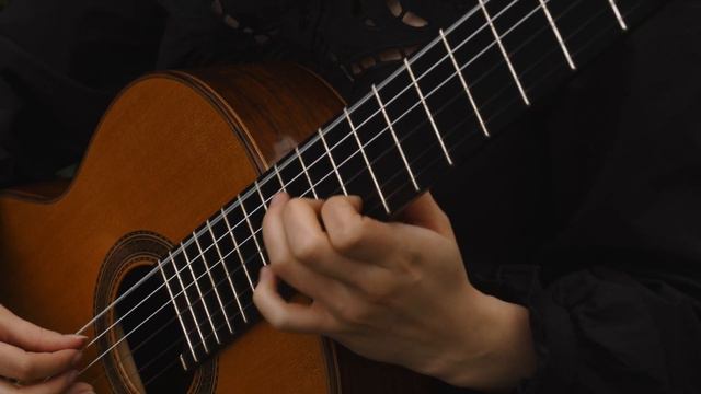 Manuel Maria Ponce - Thème varié et Finale performed by Veronika Mushkina смотреть онлайн