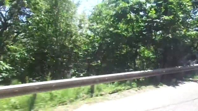 Автобус №129 (Сочи). Каштаны - ЖДВ Хоста. смотреть онлайн