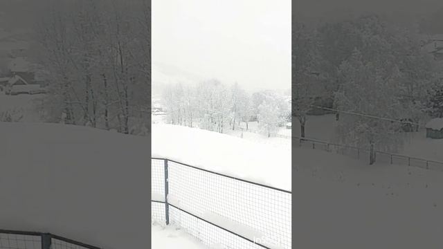 С рождеством!Зимняя сказка за окном.Сим 06.01.2023г. смотреть онлайн