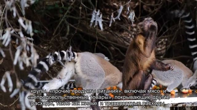 Концепция «черты бедности» опровергнута новой моделью машинного обучения смотреть онлайн