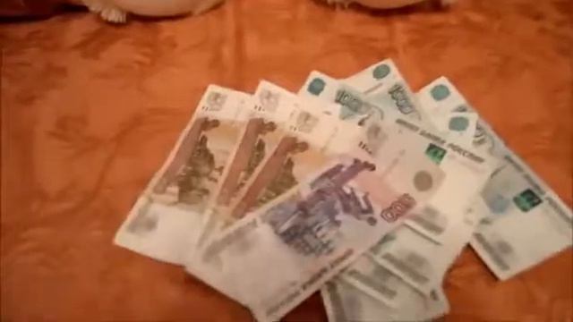 SBC 5 я з п за октябрь! а будет и 6 я! Пользуясь продукцией я ЗАРАБАТЫВАЮ! Таня Сидоренко смотреть онлайн