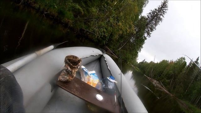 Бешеный клев плотвы и окуня на поплавочную удочку