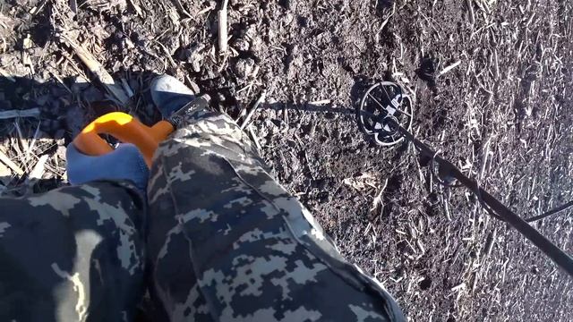 Simplex Plus. По полю на программе Пляж.