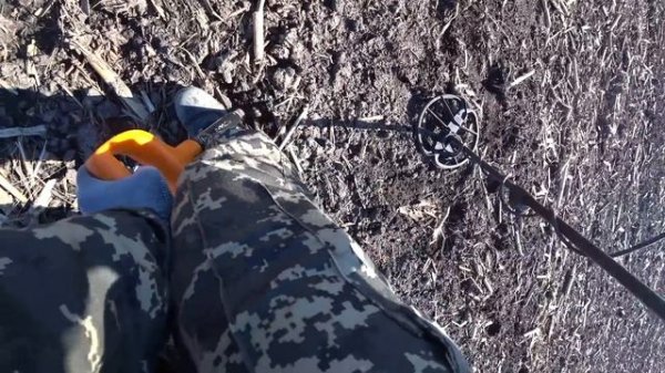 Simplex plus. По полю на программе Пляж.