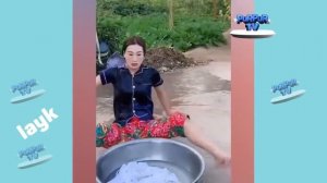 kulguli videolar toplami, prikollar 2022