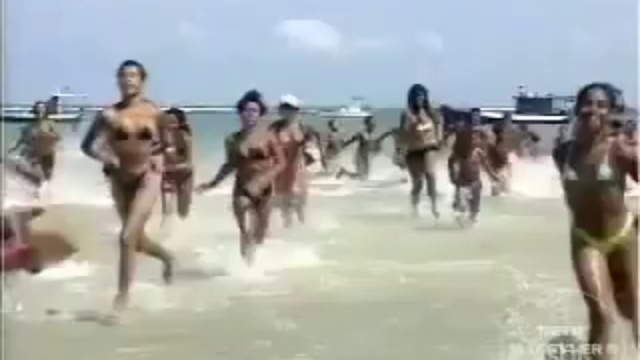 Бразильский розыгрыш с акулой смотреть онлайн