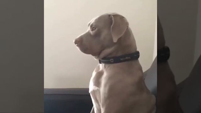 Когда тебе нравится сидеть вот так :) смотреть онлайн