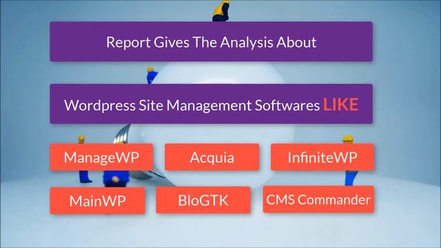 WordPress Site Management Software Report смотреть онлайн