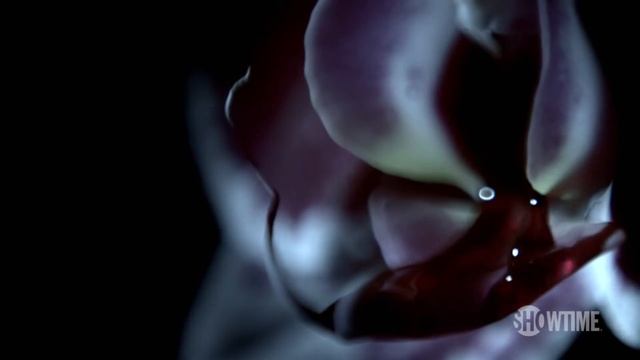 Penny Dreadful смотреть онлайн