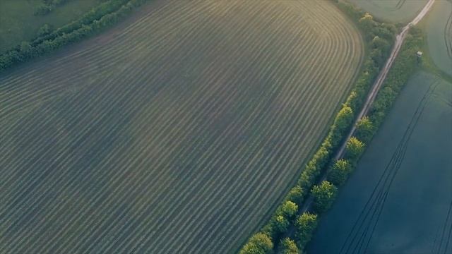 Первая осенняя охота с собакой. Русский Охотничий Спаниель - первополье. Будущий ушастый охотник. смотреть онлайн