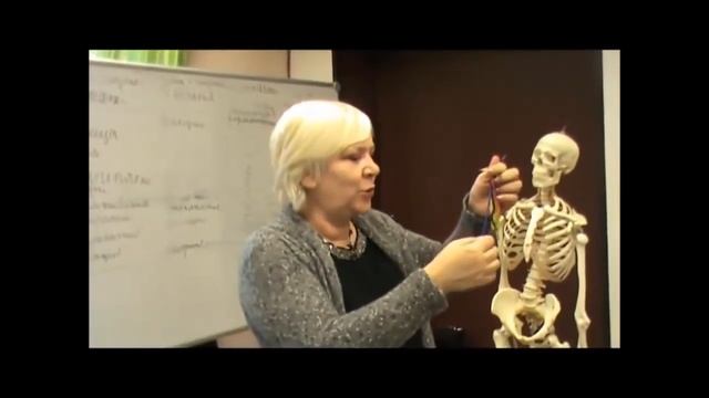 Чем отличается метод Лоскутовой от всех существующих методов оздоровления. смотреть онлайн