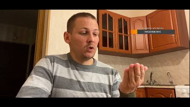 Почему ПИТБУЛЬ? Почему не АМСТАФФ? смотреть онлайн