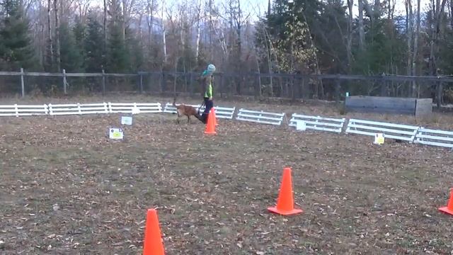 Dahja Vue Vom Newmanhaus Virtual Rally Course 1 смотреть онлайн