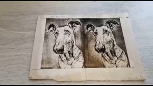 Эксперименты #1. Обработка фанеры содовым раствором и перекисью.