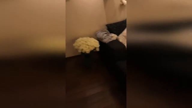 Бузова Мой тайный поклонник подарил 1000 белых роз смотреть онлайн