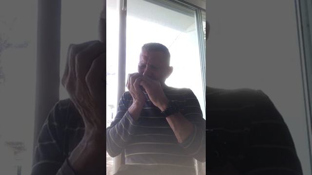 blues harmonica смотреть онлайн
