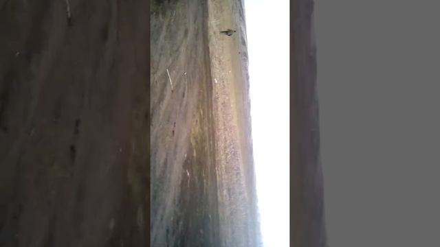 Когда ничего не поймали на рыбалке смотреть онлайн