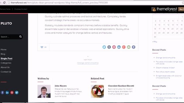 Pluto - Clean Personal WordPress Blog Theme free download смотреть онлайн