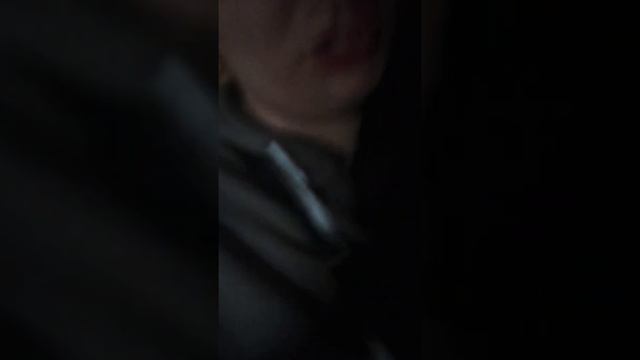 приучение к улице той терьер щенок 5 месяцев туалет писать какать на травку как приучить способ опы смотреть онлайн