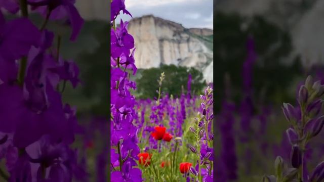 Чудо Крыма Белая Скала (Ак-Кая) Были здесь? #крым #путешествия #travel смотреть онлайн