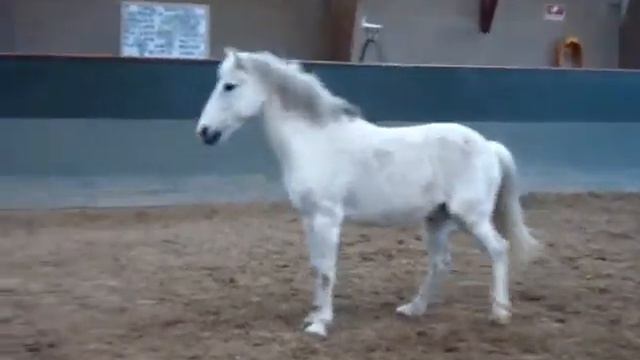 Brøderups Balou смотреть онлайн