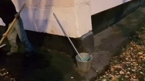 Как убрать мох с асфальта