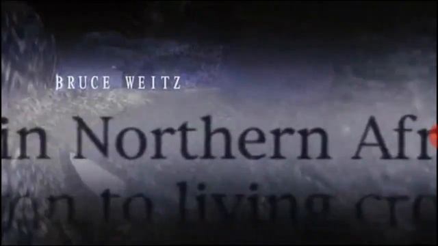 DINOCROC (2004) Opening Theme смотреть онлайн