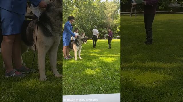 МОНО ВЕО ПК 27.05.2023. Сравнение на ЛКЮ. смотреть онлайн