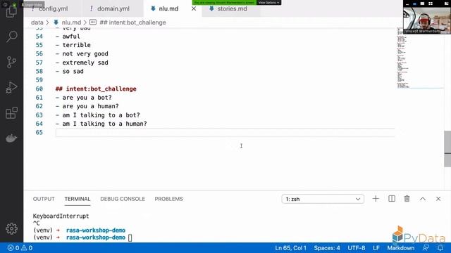 Chatbots from the Command Line by Vincent D. Warmerdam | PyData Delhi Meetup #39-A смотреть онлайн