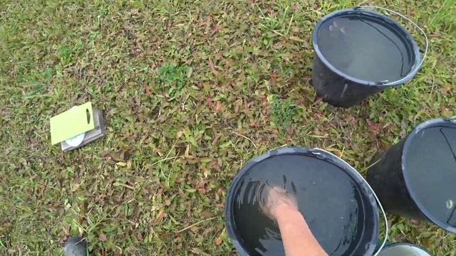 Рекордный рост рыбы за 4 месяца (05.10.2021) смотреть онлайн