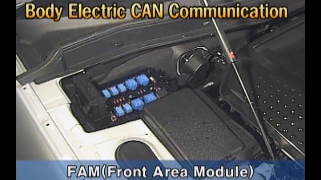 CAN-BUS Explained On Hyundai Genesis | CAN Communication Explained | Body CAN Communication #canbus