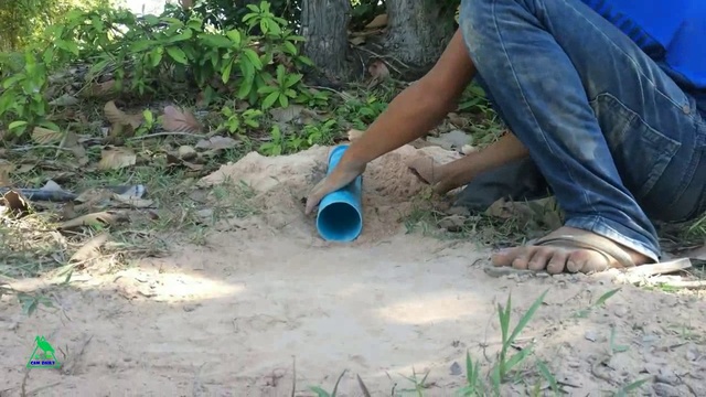 Ловушка для перепелов