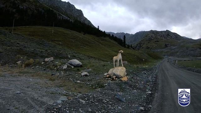 Подъём по ущелью р. Барскоон Киргизия Тянь-Шань 2022 г.   Barskoon gorge Kyrgyzstan Tien-Shan 2022