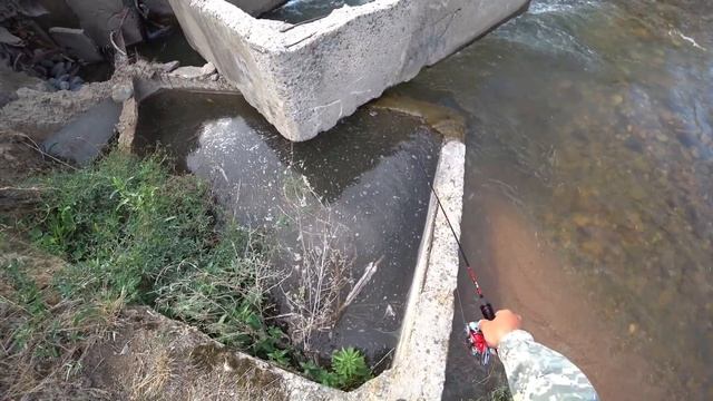 САМАЯ КРУПНАЯ РЫБА СТОИТ ИМЕННО ЗДЕСЬ! Рыбалка на ФОРЕЛЬ в горных речках. смотреть онлайн