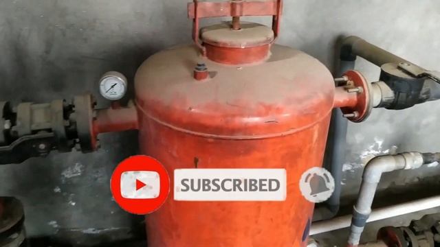 How to grow Gypsophila flower смотреть онлайн