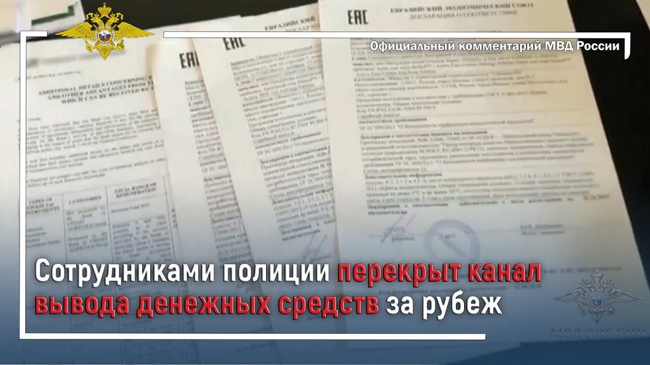Ирина Волк: Сотрудниками полиции перекрыт канал вывода денежных средств за рубеж смотреть онлайн